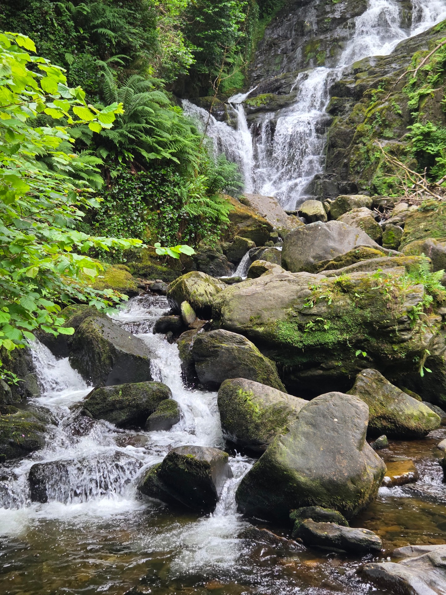 Killarney Park waterfall, Ireland