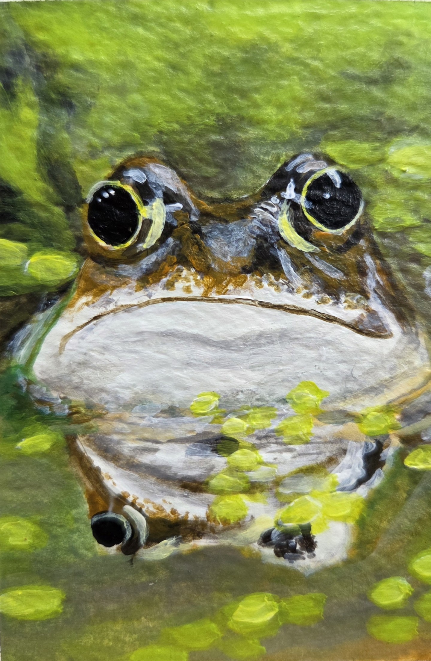 A simple toad...