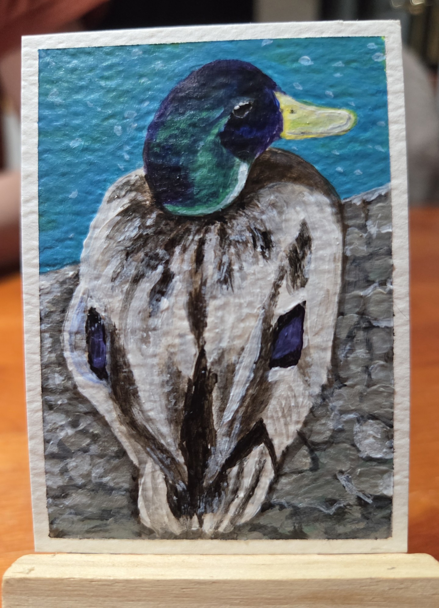 What kind of duck is this?
