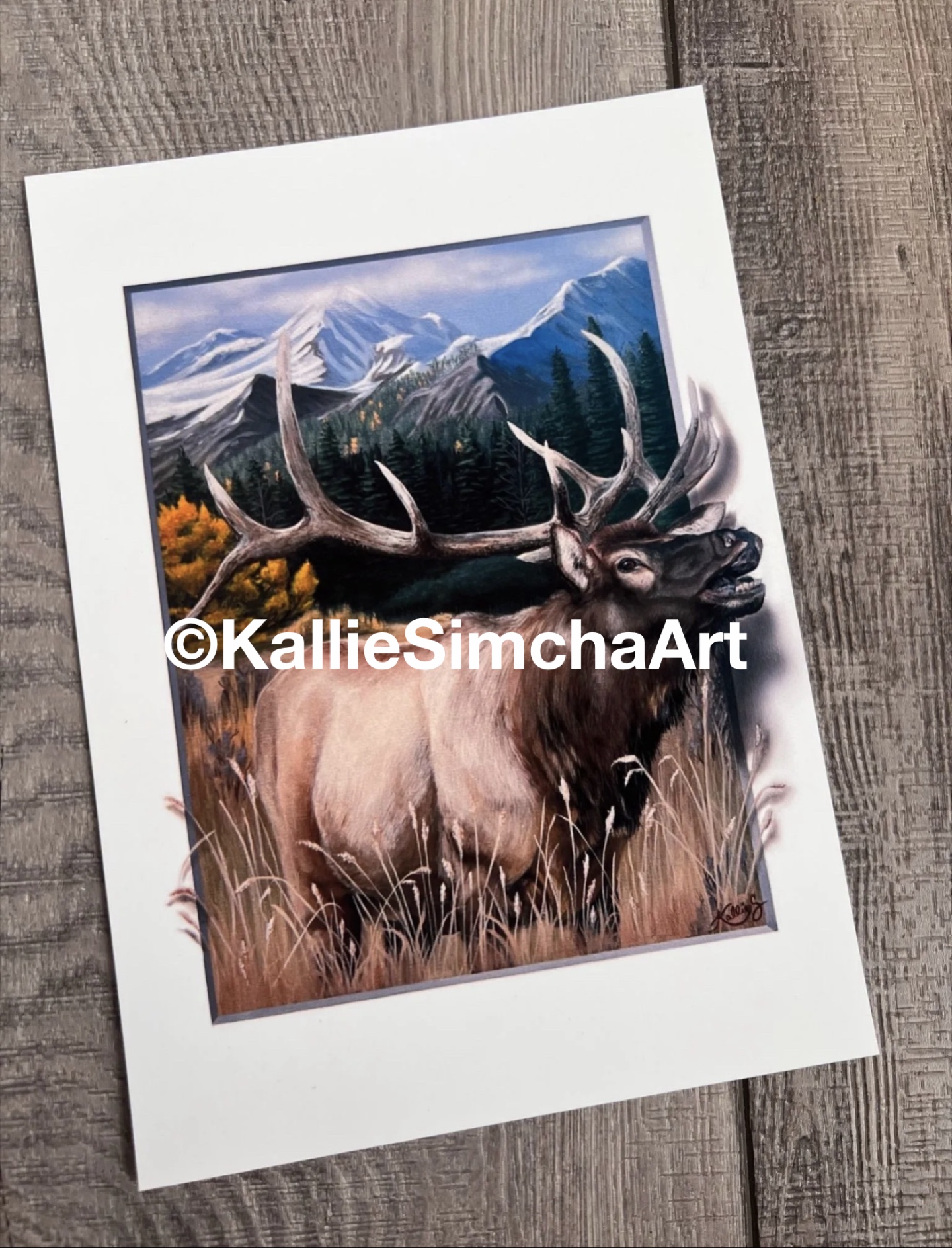 “Heralder of the Season” 5x7 print