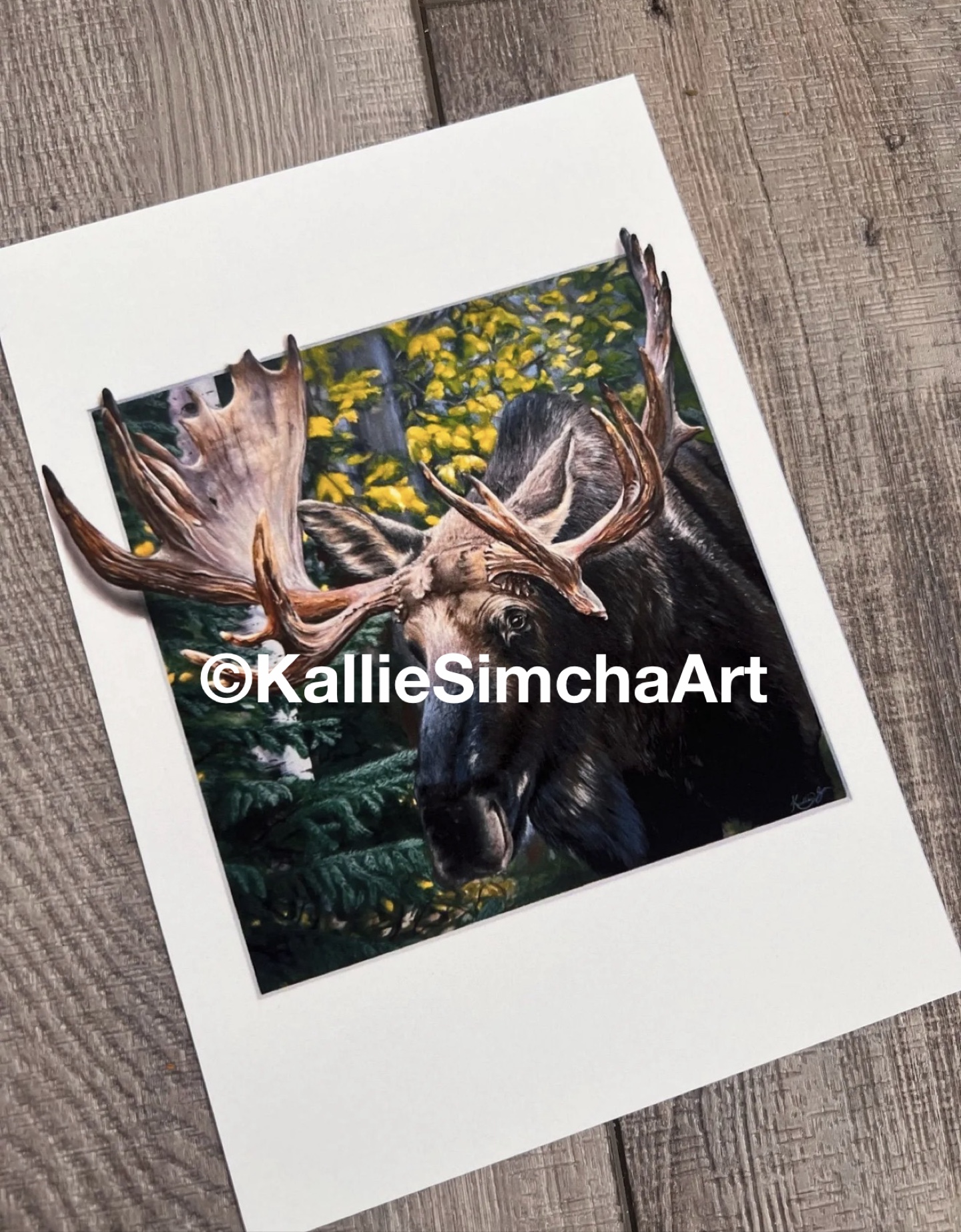 “A Stroll in the Woods” 5x7” print