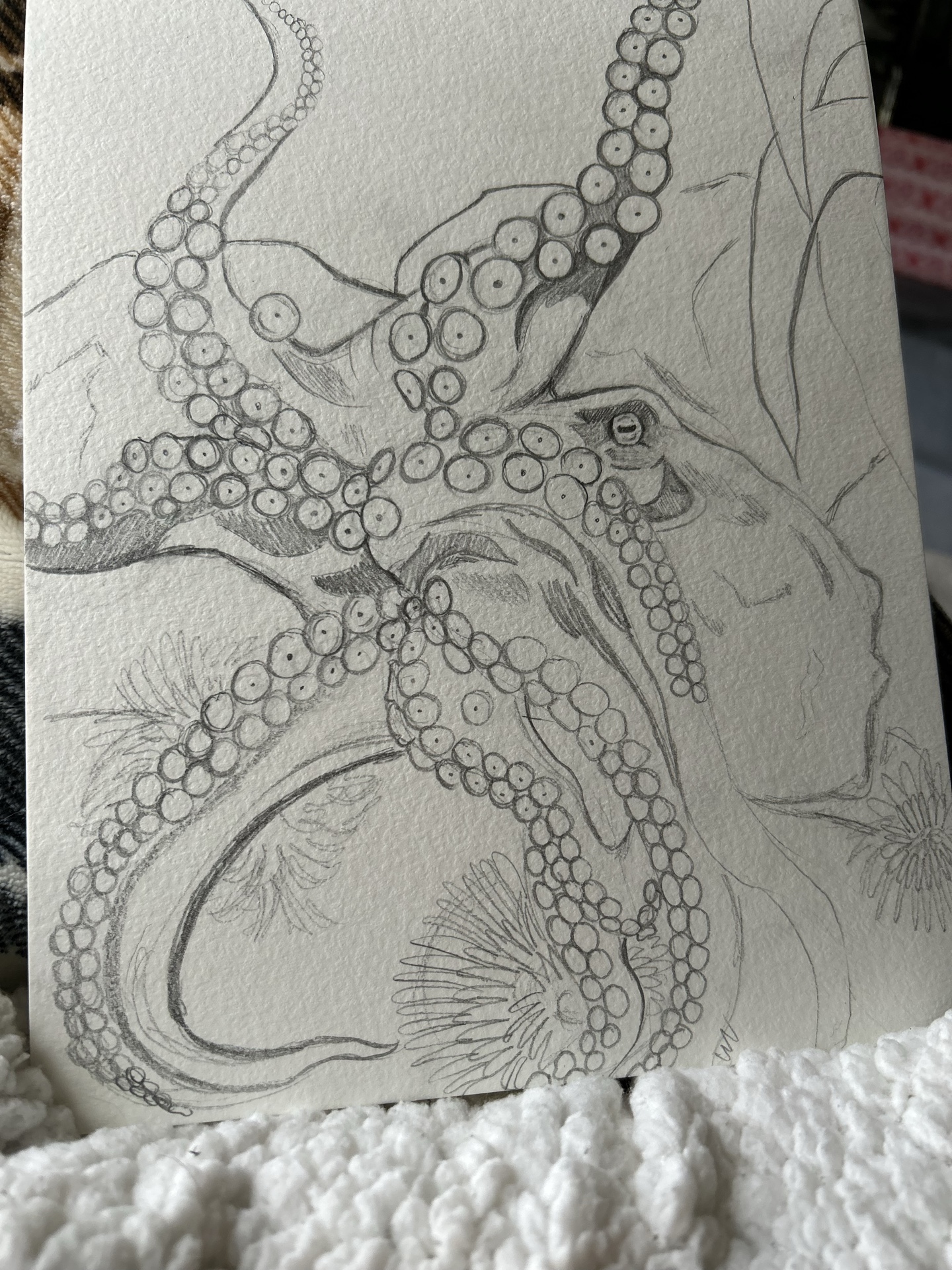 Octopus progression