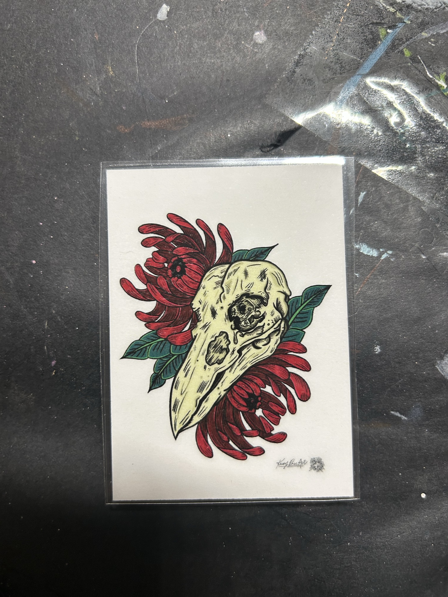 Bird skull magnet
